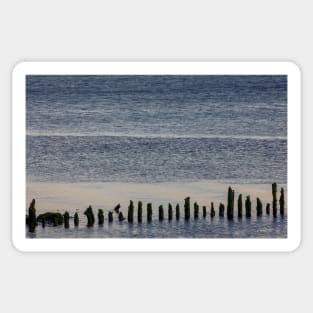 Wooden stumps in the River Clyde, Scotland Sticker